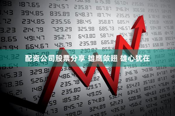 配资公司股票分享 雄鹰敛翅 雄心犹在