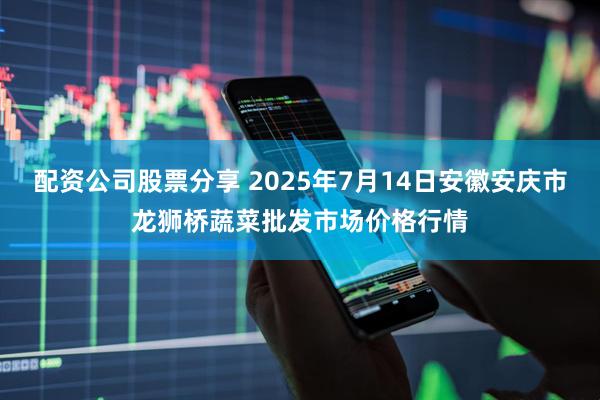 配资公司股票分享 2025年7月14日安徽安庆市龙狮桥蔬菜批发市场价格行情
