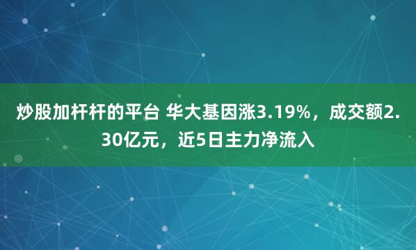 炒股加杆杆的平台 华大基因涨3.19%,成交额2.30亿元,近5日主力净流入